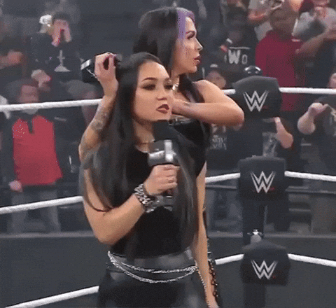 Wwe Cover Ears GIF