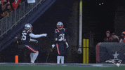 Football Celebration GIF by New England Patriots