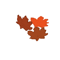 Falling Leaves Winter Sticker