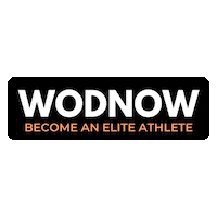 wodnow workout training crossfit squat Sticker