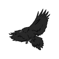 Sticker by RAVENTrust