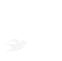 Bird Louisiana Sticker by The Gilded Sparrow