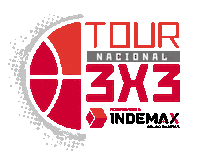 Basquetbol Chile Sticker by LincolnCollegeChile