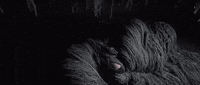 lose myself GIF by Polyvinyl Records