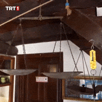 Gram Eşitlik GIF by TRT