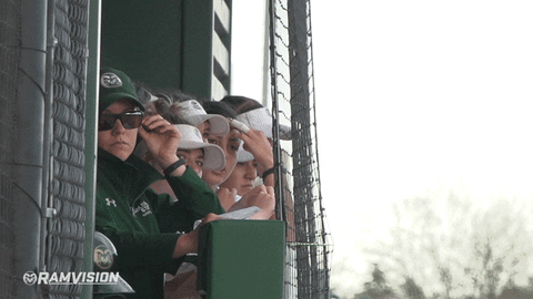 csurams giphyupload softball rams csu GIF