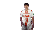 1 Fc Cologne Yes Sticker by 1. FC Köln