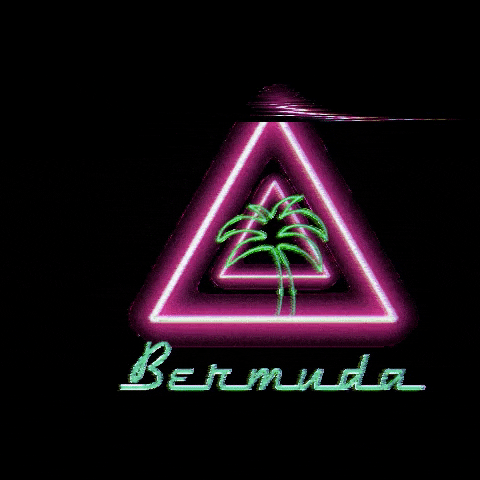 BermudaPEC giphygifmaker 90s 80s vhs GIF