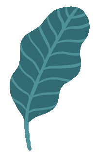 Plant Leaf Sticker by Marie Boiseau