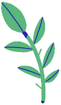 Plant Leaf Sticker by Marie Boiseau