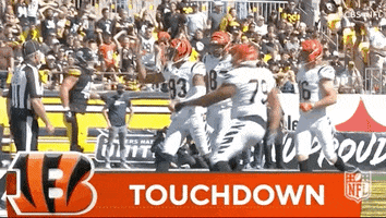 Football Sport GIF by NFL
