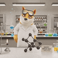 Presenting Shiba Inu GIF by Doge Pound