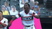 Happy Major League Baseball GIF by MLB