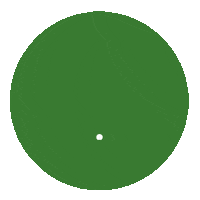 Growing Green Tree Sticker by Arbor Real Estate