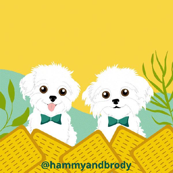 Dog GIF by HammyandBrody