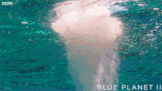 bbc one sea GIF by BBC