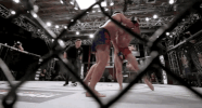 mma punch GIF by UFC