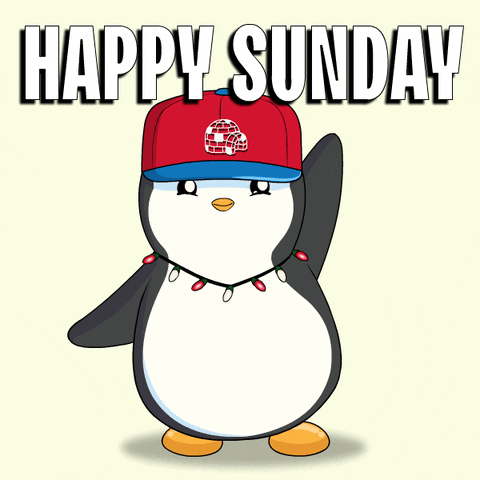 GIF by Pudgy Penguins
