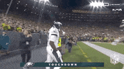 Philadelphia Eagles Football GIF by NFL