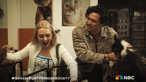 Season 1 Dogs GIF by NBC