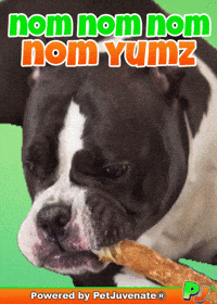 Nom Nom Nom Yum Pj Petjuvenate GIF by PetJuvenate - PJ