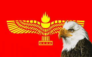 Aramean-Center eagle aramean suryoyo aramaic GIF