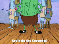 season 2 episode 10 GIF by SpongeBob SquarePants