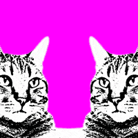 Trippy GIF by Animation Domination High-Def