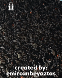 Beşiktaş GIF