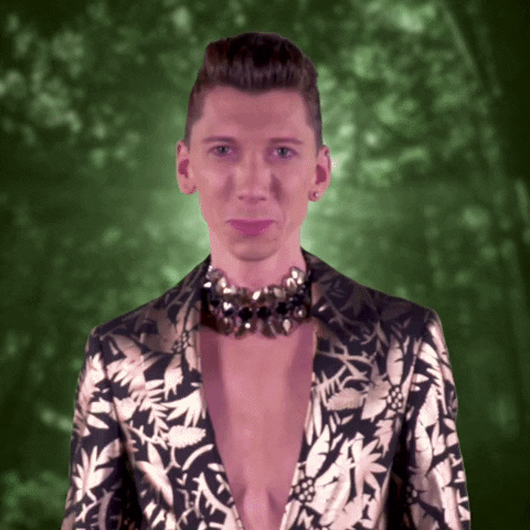 Ich Bin Ein Star Holt Mich Hier Raus Scream GIF by RTLde