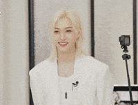 Stray Kids Skz GIF