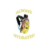 Festival Hydrate Sticker by Sojourner