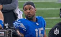 Detroit Lions Football GIF by NFL