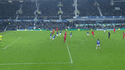 lfc everton GIF by Liverpool FC