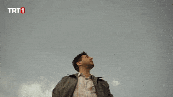 Fly Plane GIF by TRT