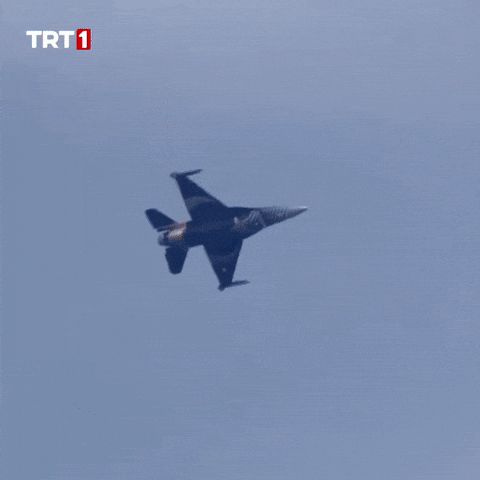 Show Fly GIF by TRT