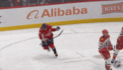 Happy Washington Capitals GIF by NHL