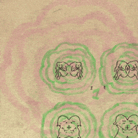 frameweaver butterfly moth glas2021 GIF