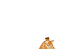 Wild Animals Elephant Sticker