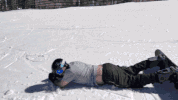 GIF by 1stdibs