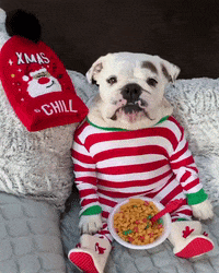 Dog Omg GIF by JustViral