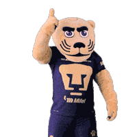 Football Sport Sticker by Pumas MX