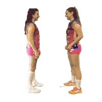 Volleyball Candi Sticker by Vero Volley Monza