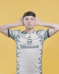 Mls David GIF by Timbers