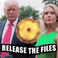 Donald Trump Liar GIF by Respective