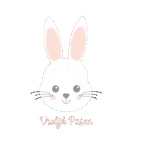 Beaujoliedesign bunny spring easter easterbunny Sticker