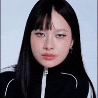 Face Artist GIF