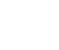 Spiderweb Cobweb Sticker by Zappos