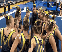 michigan women's gymnastics huddle GIF by Michigan Athletics