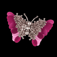 Accessories Brooch GIF by Aidan and Ice